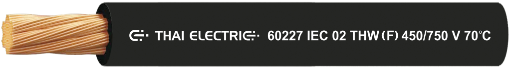 60227 IEC 02 THW ( f )