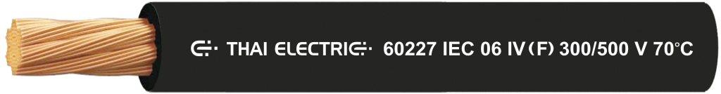 60227 IEC 06 IV (f)